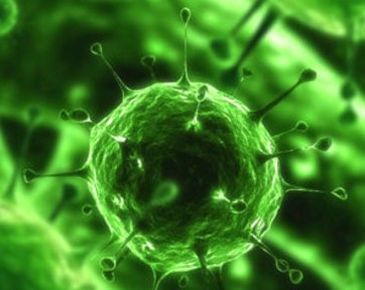 Corona-Virus